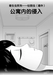 [skyzen] 寄生虫系列之钻阴虫 [Chinese] - page 26