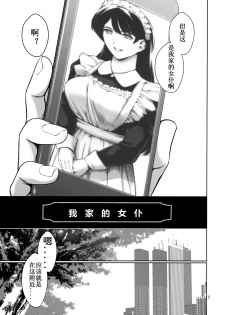 [Mesu Gorilla. (Tuna Empire)] Uchi no Maid [Chinese] [Casval个人汉化] - page 4