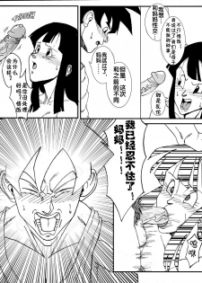 [Aarokira] GohanXChichi (Dragon Ball)[Chinese][流木个人汉化] - page 16