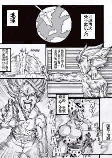 [Aarokira] GohanXChichi (Dragon Ball)[Chinese][流木个人汉化] - page 3