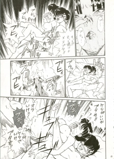(C53) [RAT TAIL (IRIE YAMAZAKI)] IRIE FILE RED (Ranma 1/2, Romeo's Blue Skies) - page 15