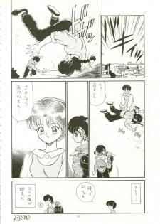 (C53) [RAT TAIL (IRIE YAMAZAKI)] IRIE FILE RED (Ranma 1/2, Romeo's Blue Skies) - page 18