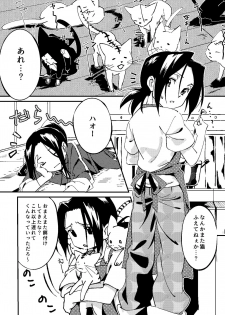 [Boro Goya (Kouheki)] Boro Goya HaoYoh Sairokushuu (Shaman King) [Digital] - page 17