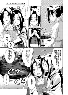 [Boro Goya (Kouheki)] Boro Goya HaoYoh Sairokushuu (Shaman King) [Digital] - page 13