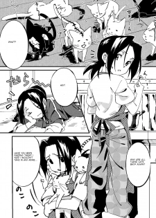 [Boro Goya (Kouheki)] Boro Goya HaoYoh Sairokushuu (Shaman King) [English] [DubleSturf] [Digital] - page 17