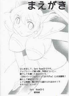 (C79) [Dark RoseEX-S (Hirooki)] JOB STAR 13 (Final Fantasy V) - page 4