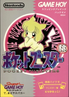 [Usagi Youchien (Morino Usagi)] Pocket Punisters (Pokemon) - page 1