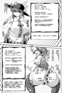 [Kei Kei Kei Loan (Kei)] Saimin? Sennou? Dekiru Mono nara Yatte Minasai yo! After (Touhou Project) [Chinese] [老司机汉化] [Digital] - page 9