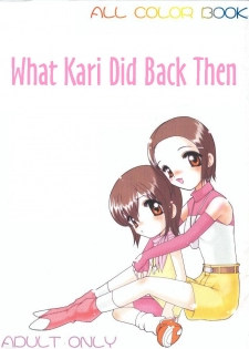 (C59) [Minors Escort (Kazasuzu)] Hikari-chan To Issho | What Kari Did Back Then (Digimon Adventure) [English] - page 1