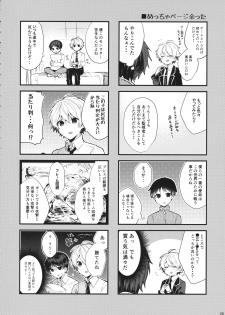 (C97) [Tayanumaya (Tanuma)] Soshite Usotsuki wa Koi o Shiru (Neon Genesis Evangelion) - page 27