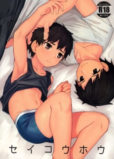 (C97) [C-O-Two- (Nayoshi)] Seikouhou [Chinese] - page 2