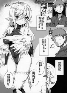 (COMITIA130) [Harigane Shinshi Doumei (Harigane Shinshi)] Tsuru Harpy no Ongaeshi [Chinese] [星幽漢化組] - page 22