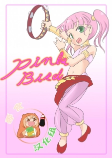 [Ika Client] Pink Bird (Etrian Odyssey) [Chinese] [零食汉化组] - page 1
