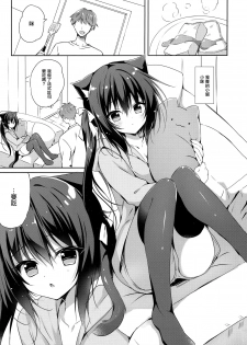 (C97) [LOOPTHELOOP! (Herurun)] Koneko to Nyan Nyan Biyori [Chinese] [無邪気漢化組] - page 3