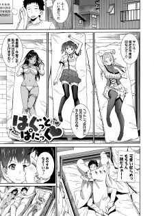 [Raita] Seikou Harem [Tokusouban] [Digital] - page 3