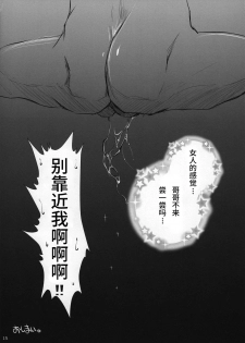 (C97) [UDON-YA (Kizuki Aruchu, ZAN)] Udonko 18 (Monster Hunter) [Chinese] - page 13