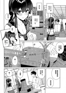 (C97) [Rosapersica (Ichinomiya)] Yoru Yahagi 13 (Kantai Collection -KanColle-) [Chinese]  [Angiris Council漢化组] - page 10