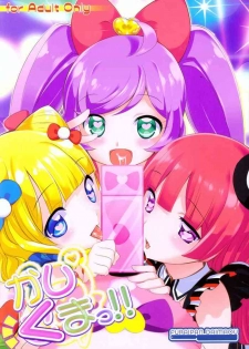 (C87) [Furaipan Daimaou (Chouchin Ankou)] Kashikuma!! (PriPara)