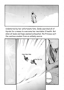 Legend of Zelda; Zelda's Strive (Rewrite) - page 13