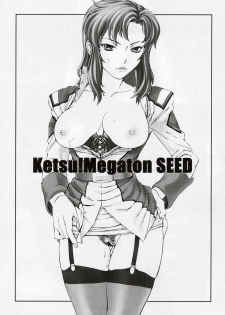(C64) [Toluene Ittokan (Pierre Norano, Shinagawa Ham)] Ketsu Megaton Seed (Gundam Seed) [Chinese] 【零食汉化组】 - page 3