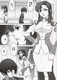 (C64) [Toluene Ittokan (Pierre Norano, Shinagawa Ham)] Ketsu Megaton Seed (Gundam Seed) [Chinese] 【零食汉化组】 - page 21