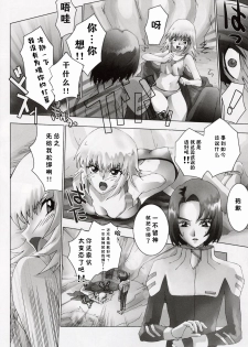 (C64) [Toluene Ittokan (Pierre Norano, Shinagawa Ham)] Ketsu Megaton Seed (Gundam Seed) [Chinese] 【零食汉化组】 - page 8