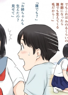 [Atori Akinao (Atori K)] Sei ni Kyoumi o Mochihajimeta Ane to Otouto no Hatsutaiken - page 8
