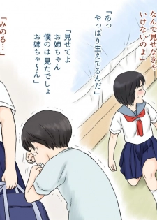 [Atori Akinao (Atori K)] Sei ni Kyoumi o Mochihajimeta Ane to Otouto no Hatsutaiken - page 9