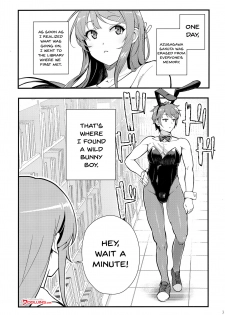 (C95) [Kayoudou (Matsuka)] Bunny Lovers (Seishun Buta Yarou wa Bunny Girl Senpai no Yume o Minai) [English] [Doujins.com] - page 3