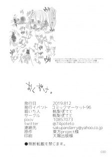 (C96) [Momonashi Potato (Momonashi Potato)] Hen Janai ka Mite Ageru. (Touhou Project) - page 29