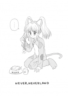 (SUPER6) [Nyan Nyan Hanten (Alimika Satomi)] NEVER, NEVERLAND (Martian Successor Nadesico) - page 5
