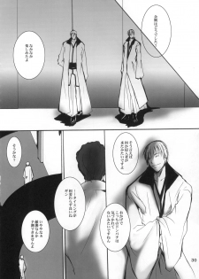 (C72) [10/19 (Kiyokawa Tsuneaki)] Goodbye Halo (BLEACH) - page 29