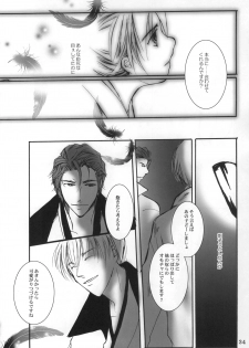 (C72) [10/19 (Kiyokawa Tsuneaki)] Goodbye Halo (BLEACH) - page 33