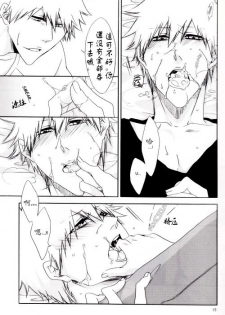 [Gyoukou (Rioka Masaki)] Hot Summer! (Bleach) [Chinese] - page 16