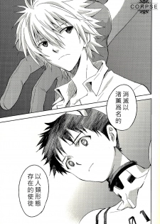 (C84) [cassino (Magarikoji Lily)] ENDLIGHT (Neon Genesis Evangelion) [Chinese] [尸体汉化组] - page 46