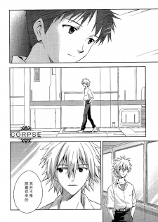 (C84) [cassino (Magarikoji Lily)] ENDLIGHT (Neon Genesis Evangelion) [Chinese] [尸体汉化组] - page 7