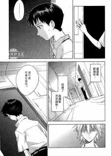 (C84) [cassino (Magarikoji Lily)] ENDLIGHT (Neon Genesis Evangelion) [Chinese] [尸体汉化组] - page 18