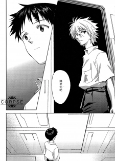 (C84) [cassino (Magarikoji Lily)] ENDLIGHT (Neon Genesis Evangelion) [Chinese] [尸体汉化组] - page 25