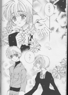(C64) [Totsugeki Wolf (Yuuki Mitsuru)] Sakura Sakura (Cardcaptor Sakura) - page 10