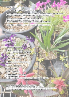 [Veranda Haruniwa Keikaku (Sorimura Youji)] Lovely Flower Collection (Flower Knight Girl) [Digital] - page 33
