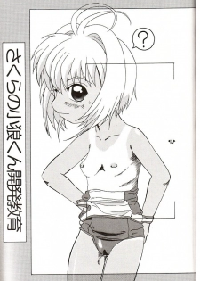 [Tagajyou Grand Fleet (トヨダポエム)] HOPE (Card Captor Sakura) - page 4