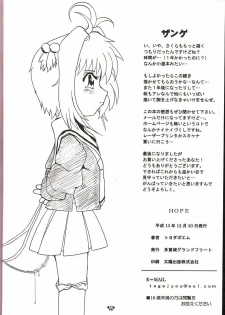 [Tagajyou Grand Fleet (トヨダポエム)] HOPE (Card Captor Sakura) - page 21