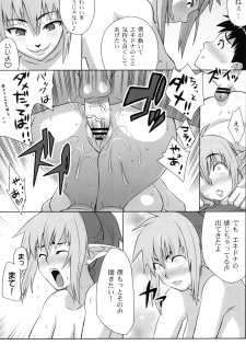 (Queen's Colosseum) [TETRODOTOXIN (Nise Kurosaki)] QBC (Queen's Blade) - page 18