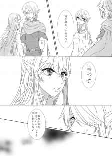 [ふぇる＊まぁた] 夜迷言 (The Legend of Zelda) [Digital] - page 11