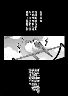 [Darabuchidou (Darabuchi)] Tsumareta Ikoku no Hana II | 被摘取的異國之花Ⅱ [Chinese] [禁漫漢化組] [Digital] - page 4