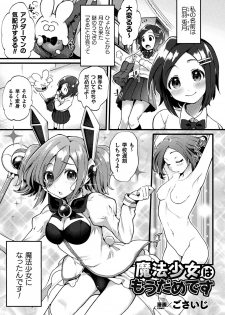 [Anthology] 2D Comic Magazine Ero Status de Heroine Kaibou Ryoujoku Keikenchi Joushouchuu! Vol. 2 [Digital] - page 3