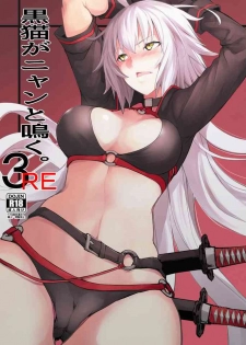 [IRON GRIMOIRE (SAKULA)] Kuroneko ga Nyan to Naku. 3RE (Fate/Grand Order) [English] {Doujins.com} [Digital]