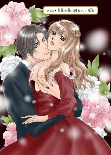 [Omi Shinano] Imouto Mekake ~Onii-sama, Mou Yurushite~ [Digital] - page 4