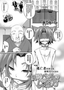 [Kaitou Yuuhi] Aigan Pet no Shitsukekata I+II+Extra [Chinese] [逃亡者x新桥月白日语社] [Digital] - page 1