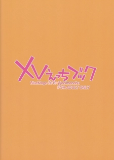 (COMIC1☆16) [BlueMage (Aoi Manabu)] XV Ecchi Book (Senki Zesshou Symphogear XV) - page 22